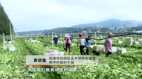 全國勞動模范黃訓(xùn)奎 老驥伏櫪 只為鄉(xiāng)親生活更美好